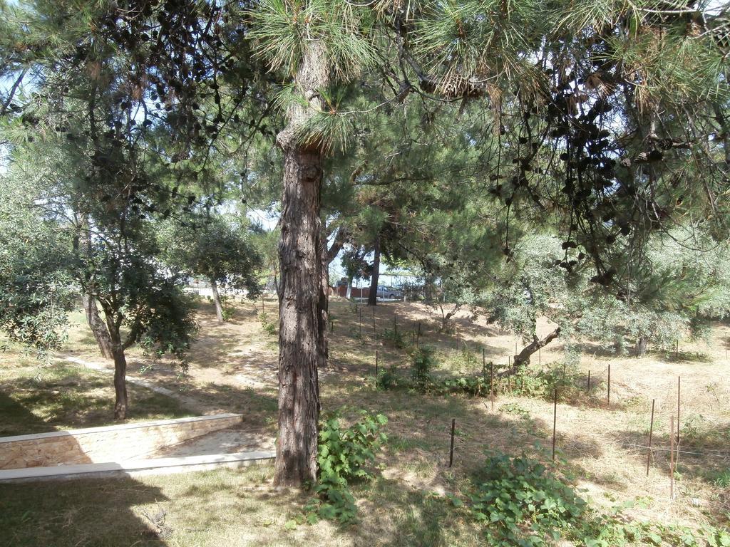 Villa Barouti Kinira Esterno foto